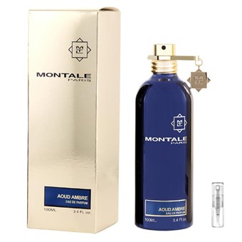 Montale Paris Aoud Ambre - Eau de Parfum - Tuoksunäyte - 2 ml