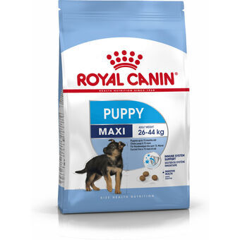 Rehu Royal Canin Maxi Puppy Lapset / junior Linnut 4 Kg