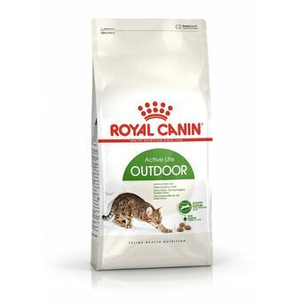 Kissanruoka Royal Canin Active Life Outdoor Aikuinen Linnut 4 Kg