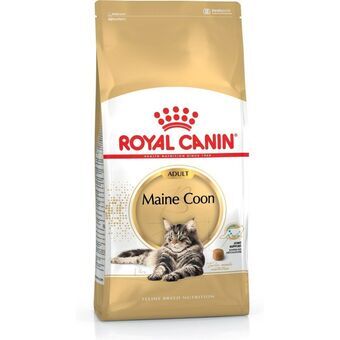 Kissanruoka Royal Canin Aikuinen 4 Kg Kana