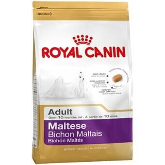 Rehu Royal Canin Aikuinen Maissi Linnut 500 g