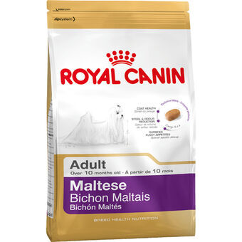 Rehu Royal Canin Maltese Adult Aikuinen Maissi Linnut 1,5 Kg