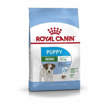 Rehu Royal Canin Mini Puppy Lapset / junior Linnut 4 Kg