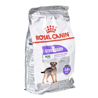 Rehu Royal Canin Mini Sterilised Aikuinen 1 kg