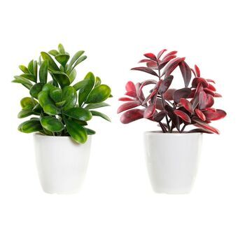 Koristekasvi DKD Home Decor Punainen Vihreä Kivitavara Polypropyleeni (PP) (2 pcs) (13 x 11 x 17.5 cm)