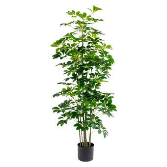 Koristekasvi Alexandra House Living Muovinen Schefflera 155 cm