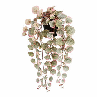 Koristekasvi Mica Decorations Ceropegia Woodii 10 x 46 x 12 cm Keinotekoinen Ripustettavaksi