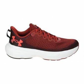 Aikuisten juoksukengät Under Armour Infinite Ruskea