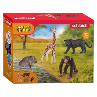 schleich WILD LIFE Aloitussetti 72162