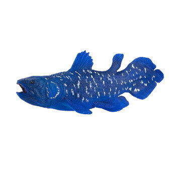 Mojo sealife coelacanth - 381050