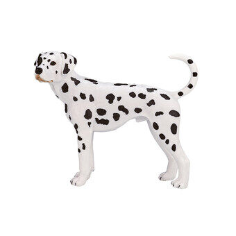 Mojo maatalousmaa Dalmatian - 387248