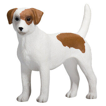 Mojo Farmland Jack Russell Terrieri - 387286