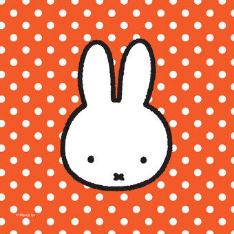 Miffy-lautasliinat, 20 kpl.