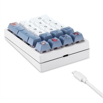 DARMOSHARK K3QMK USB Langallinen 21-näppäiminen Numeronäppäimistö Mini Kannettava RGB-taustavalaistu Mekaaninen Pelinumeronäppäimistö Ohjelmoitava Tietokoneille